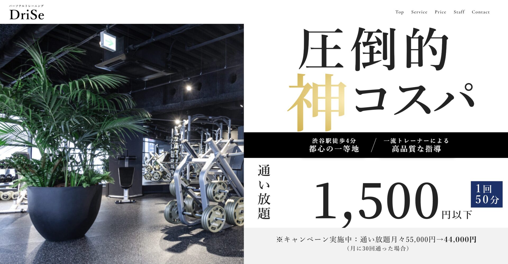 DriSe 渋谷店 の店舗写真