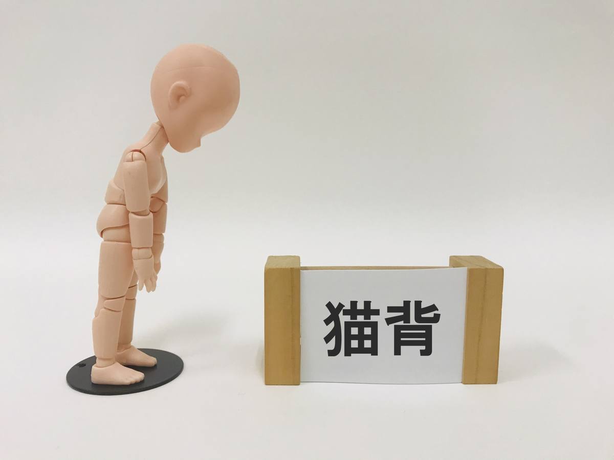 パーソナルトレーニングは美容にいい？運動が「について整理する場面